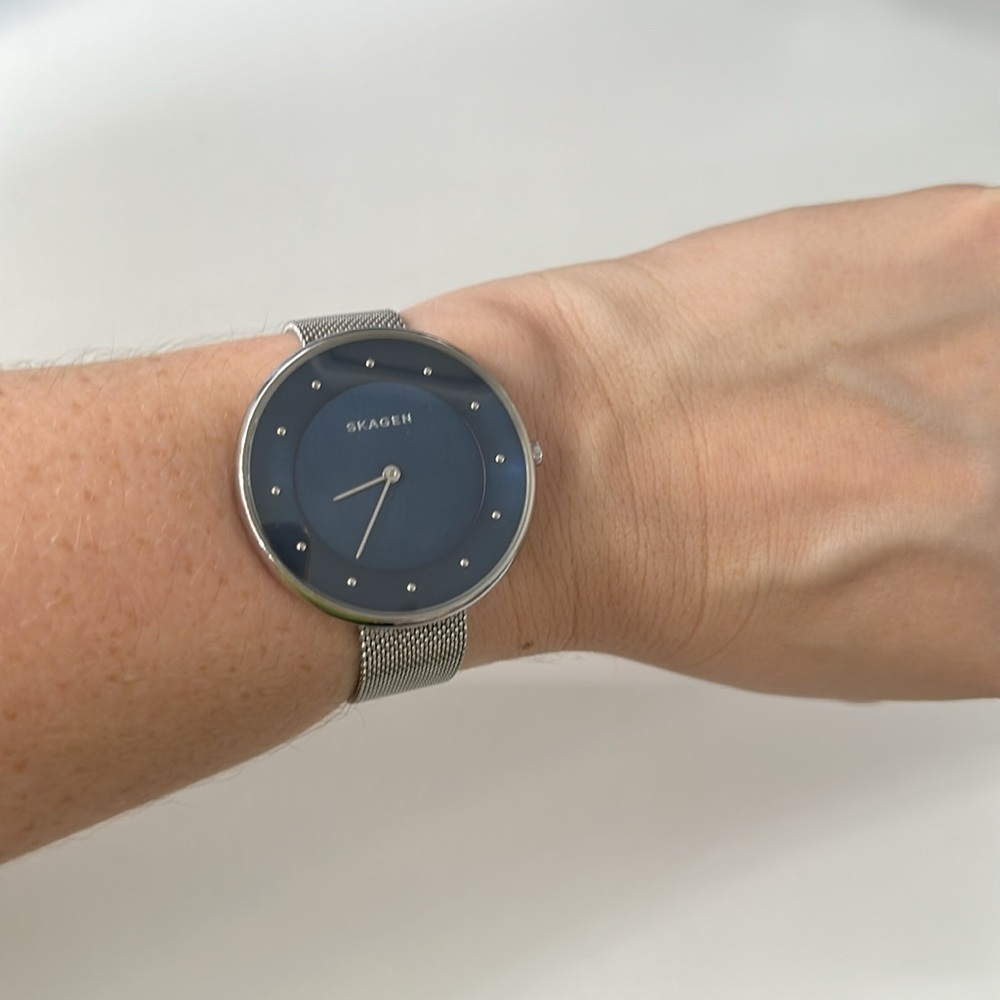 Skagen stainless steel silver & blue adjustable band watch. Used, no battery.